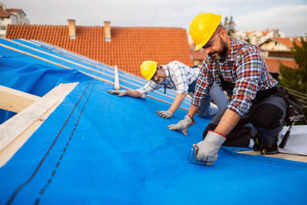 Best Storm Damage Roof Repair  in Moon Lake, FL