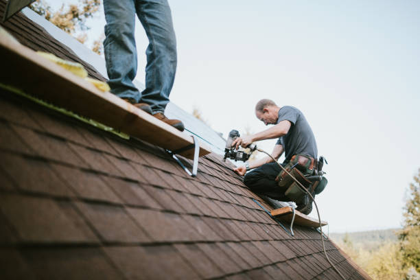 Quick and Trustworthy Emergency Roof Repair Services in Moon Lake, FL